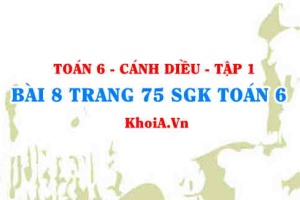 Bài 8 trang 75 SGK Toán 6 tập 1 Cánh Diều
